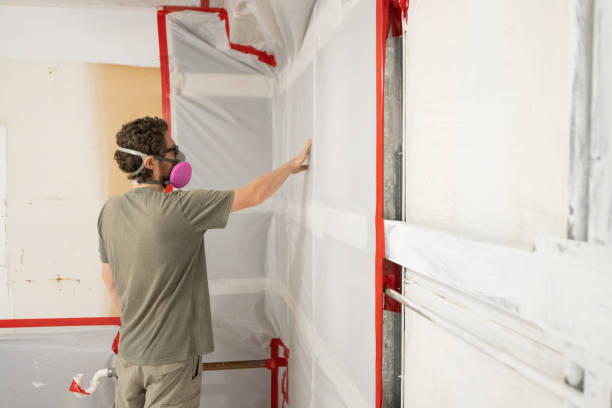 Best Emergency Mold Remediation  in New Martinsville, WV