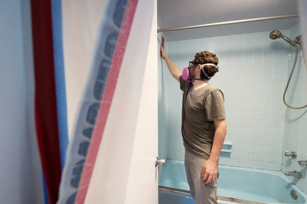 Trusted New Martinsville, WV Mold Removal Experts